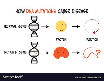 dna mutations protein affect