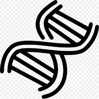 DNA Nucleic acid double helix Science Biology Computer Icons - science 