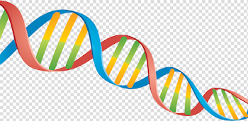 DNA PNG images free download