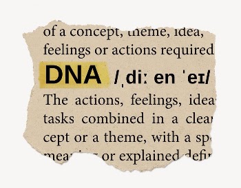 DNA ripped dictionary, editable word | Free PSD - rawpixel