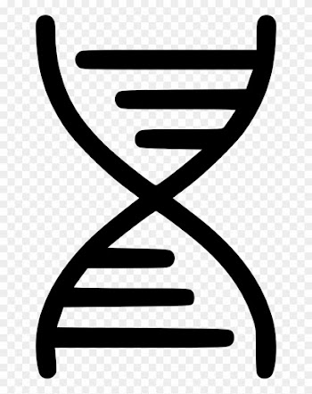 Dna Science Biometric Data Medical Education Matching - Dna Double Helix Png