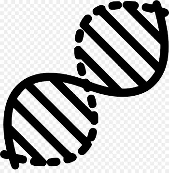 DNA science Genetics Nucleic acid structure Biology - dnapng pictogram 