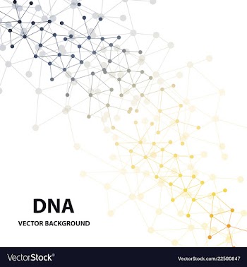 Dna sequence shiny background science eps10 vector image
