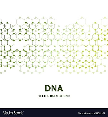 Dna sequence shiny background science eps10 vector image