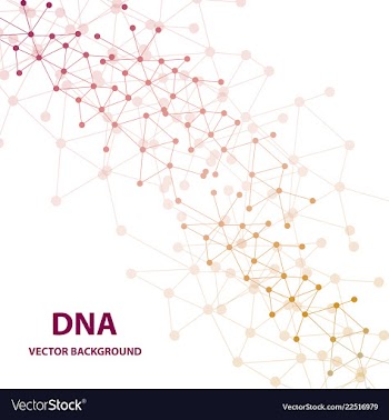 Dna sequence shiny background science eps10 vector image