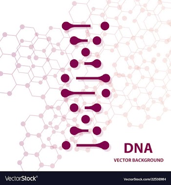 Dna sequence shiny background science eps10 vector image