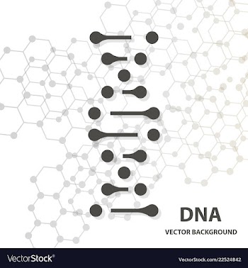 Dna sequence shiny background science eps10 vector image