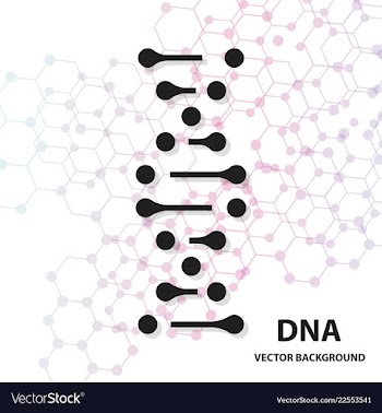 Dna sequence shiny background science eps10 vector image