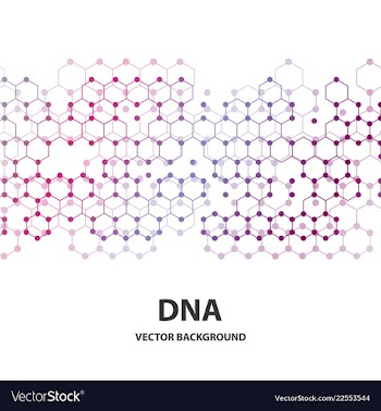 Dna sequence shiny background science eps10 vector image