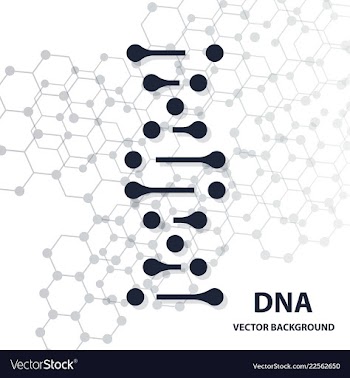 Dna sequence shiny background science eps10 vector image