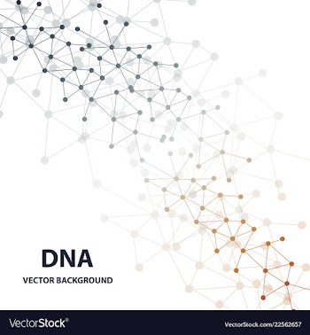 Dna sequence shiny background science eps10 vector image