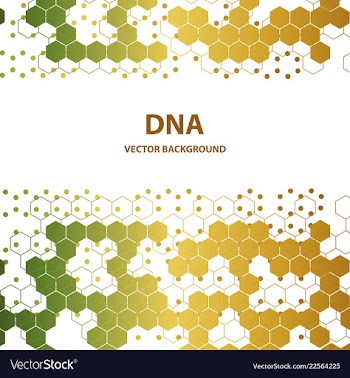 Dna sequence shiny background science eps10 vector image