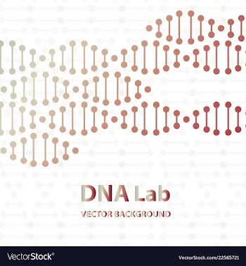 Dna sequence shiny background science eps10 vector image