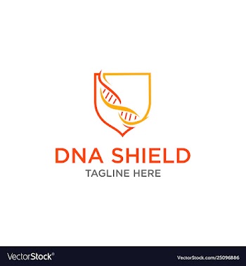 Dna shield health logo design inspiration vector image