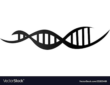 Dna strand black vector image