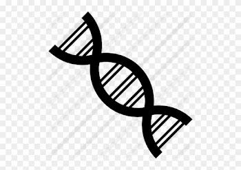 Dna Strand Png Dna Strand - Dna Drawing Png