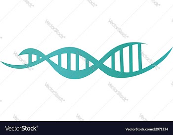 Dna strand teal vector image