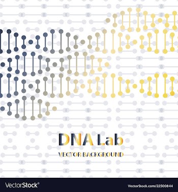 Dna structure double helix on white background vector image