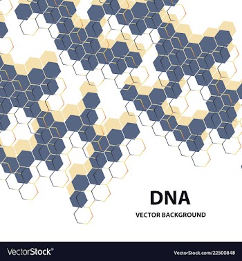 Dna structure double helix on white background vector image