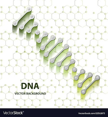 Dna structure double helix on white background vector image