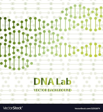Dna structure double helix on white background vector image
