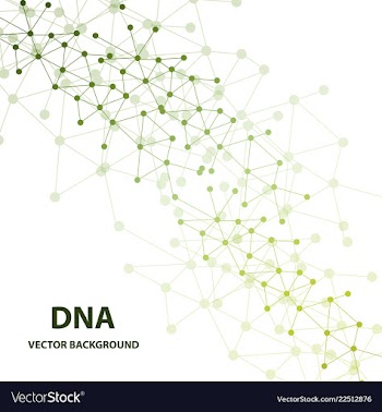Dna structure double helix on white background vector image
