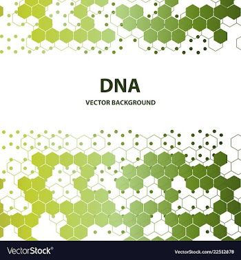 Dna structure double helix on white background vector image