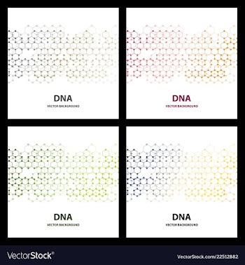 Dna structure double helix on white background vector image
