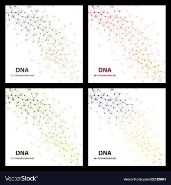 Dna structure double helix on white background vector image