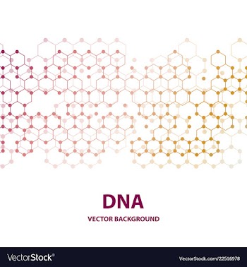 Dna structure double helix on white background vector image