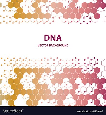 Dna structure double helix on white background vector image