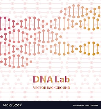 Dna structure double helix on white background vector image