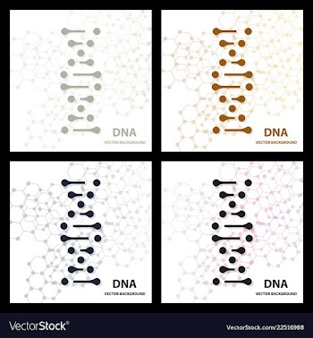 Dna structure double helix on white background vector image