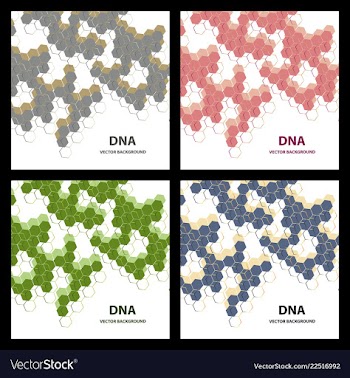 Dna structure double helix on white background vector image