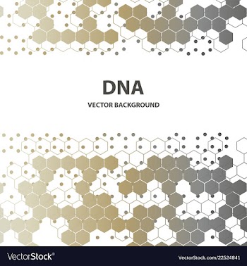 Dna structure double helix on white background vector image