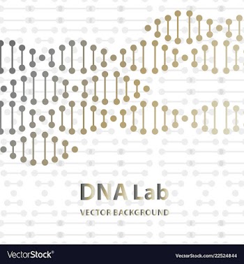 Dna structure double helix on white background vector image