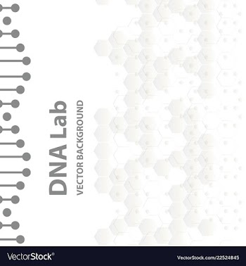 Dna structure double helix on white background vector image