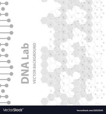 Dna structure double helix on white background vector image