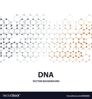Dna structure double helix on white background vector image