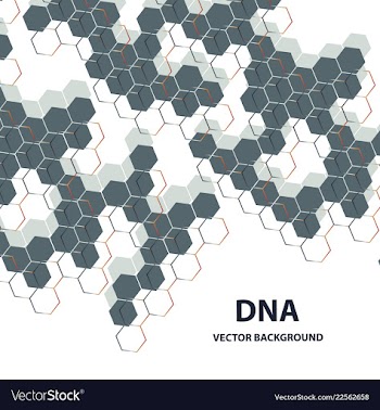 Dna structure double helix on white background vector image