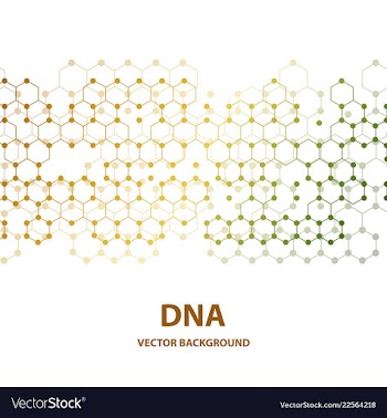 Dna structure double helix on white background vector image