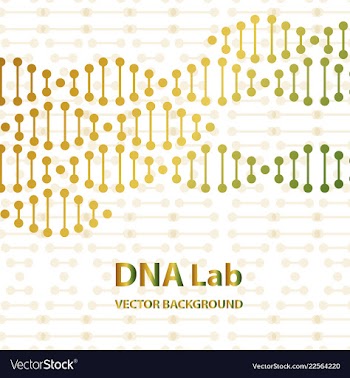 Dna structure double helix on white background vector image