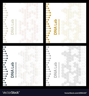 Dna structure double helix on white background vector image