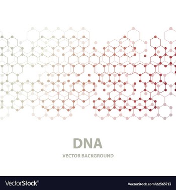 Dna structure double helix on white background vector image