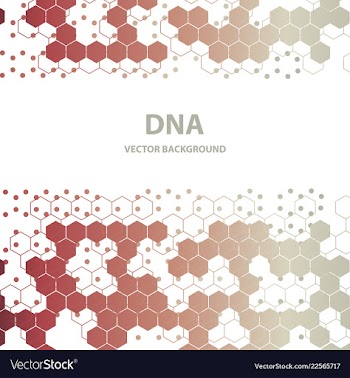 Dna structure double helix on white background vector image