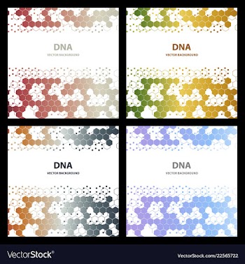 Dna structure double helix on white background vector image