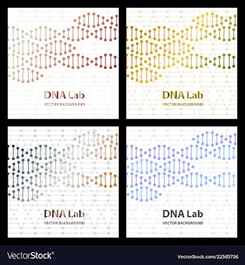 Dna structure double helix on white background vector image