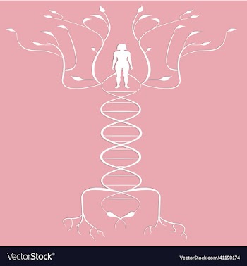 dna tree with female
