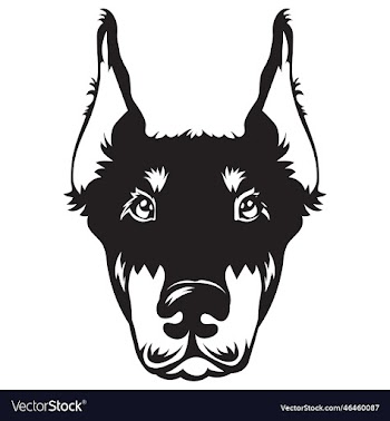dobermann dog