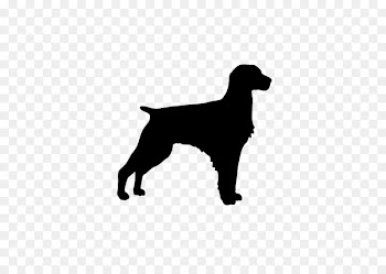 Dobermann Weimaraner Vector graphics Stock illustration -  